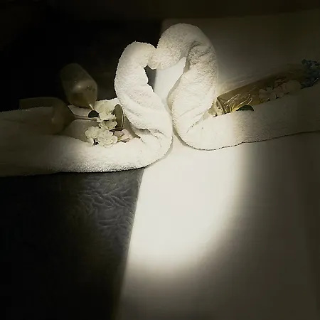 Jacuzzi A L'abri Des Vents Σπίτι διακοπών Καρκασόν