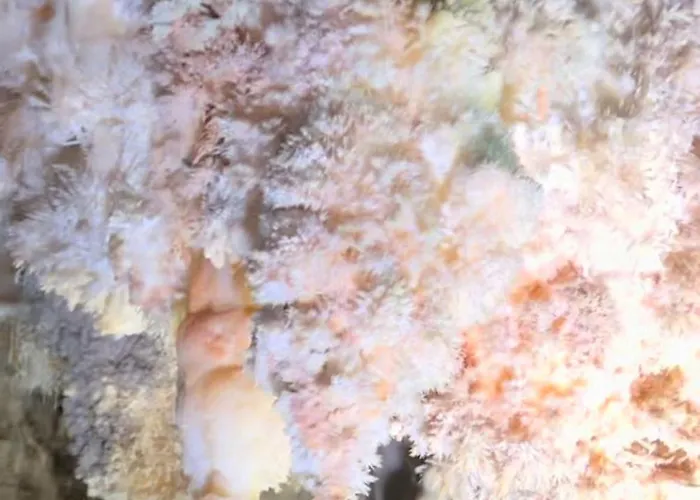 Jacuzzi A L'abri Des Vents Holiday home